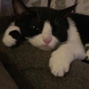 Meet your Posher, Lauryn